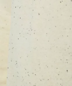 Solid SDNAPPO - Sweatshirt - Vanilla -Élégance Boutique 4b5a719bd8db4ec28046f7b3173f2221