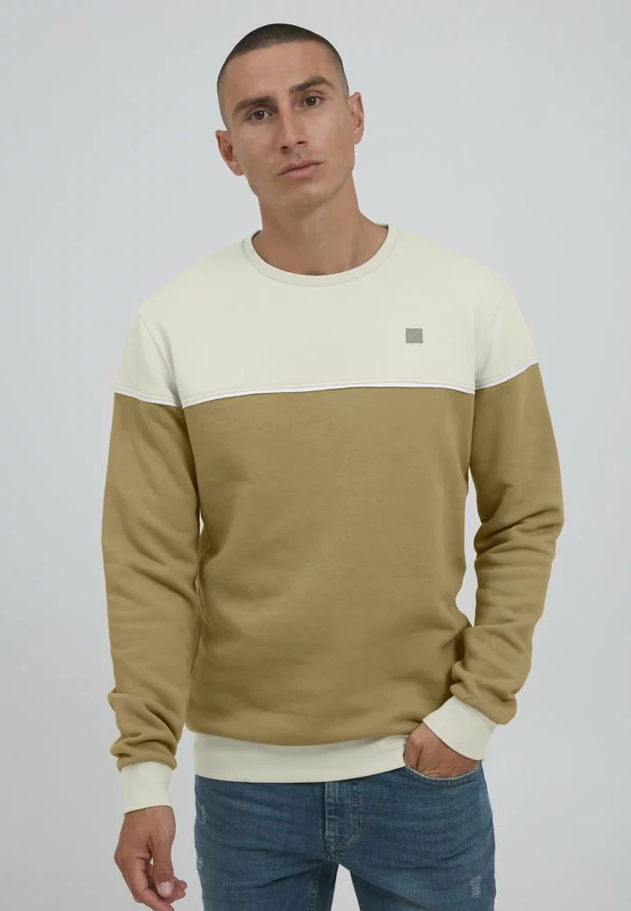 Solid SDDEWAR - Sweatshirt - Oatmeal 1 Solid SDDEWAR - Sweatshirt - Oatmeal